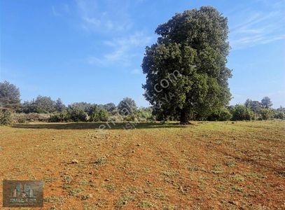 Arsa-Villa İmarlı