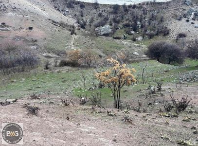 Arsa-Tarla