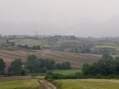Arsa-Tarla