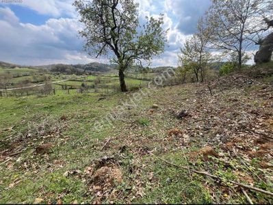Arsa-Konut İmarlı