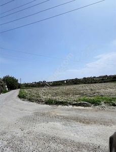 Arsa-Tarla