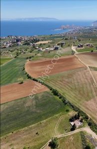 Arsa-Konut İmarlı