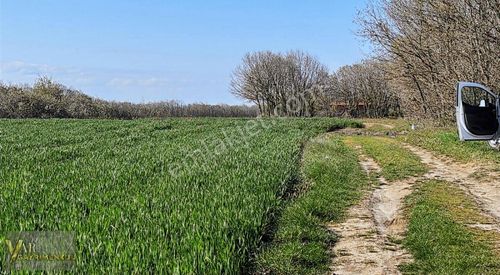 Arsa-Tarla