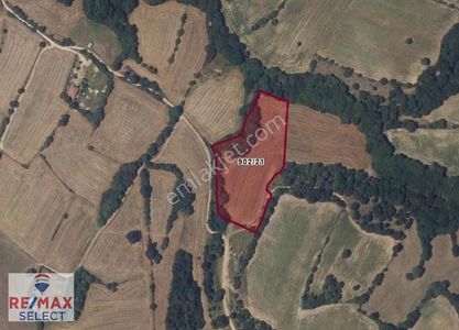Arsa-Tarla