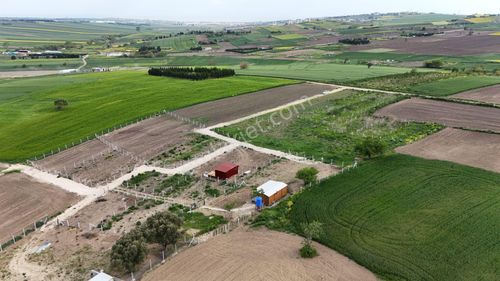 Arsa-Tarla