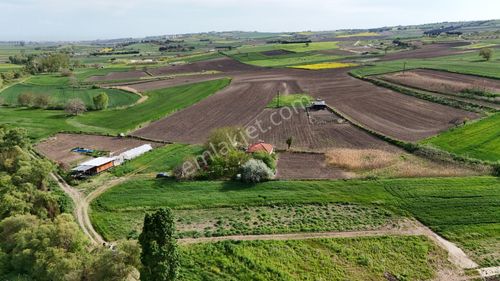 Arsa-Tarla