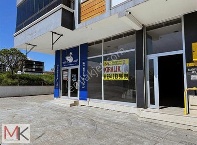 İşyeri-Dükkan & Mağaza