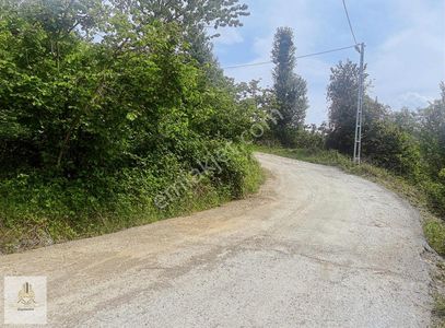 Arsa-Tarla