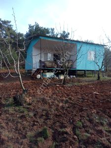 Arsa-Tarla
