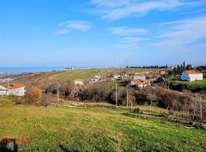Arsa-Villa İmarlı