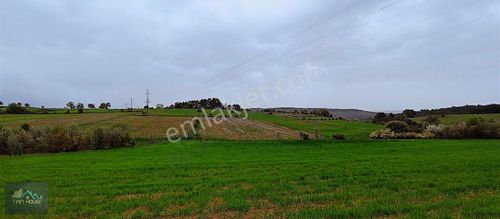 Arsa-Tarla
