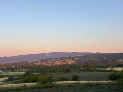 Arsa-Tarla