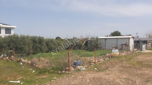 Arsa-Konut+Ticaret Alanı