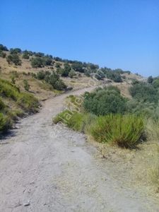 Arsa-Konut İmarlı