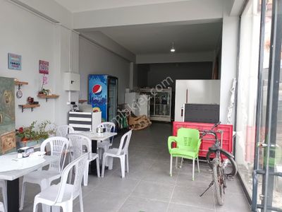 İşyeri-Dükkan & Mağaza
