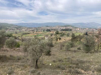 Arsa-Tarla