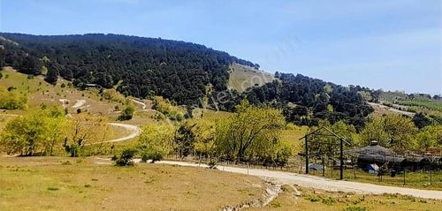 Arsa-Tarla