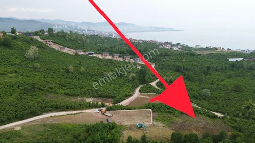 Arsa-Villa İmarlı