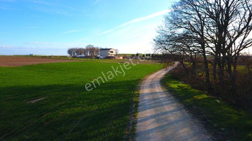 Arsa-Tarla