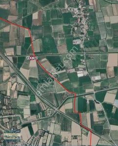 Arsa-Tarla