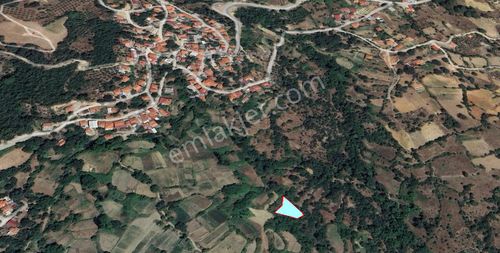 Arsa-Tarla