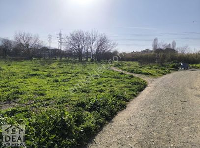 Arsa-Konut İmarlı