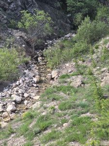 Arsa-Tarla