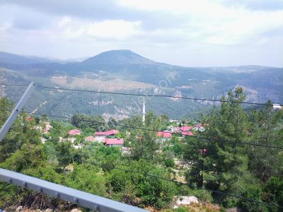 Arsa-Tarla