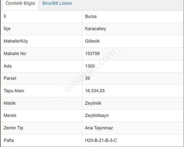 Arsa-Zeytinlik