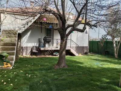 Konut-Müstakil Ev