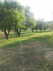 Arsa-Tarla