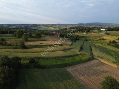 Arsa-Tarla