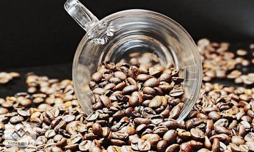 İşyeri-Kafe & Bar