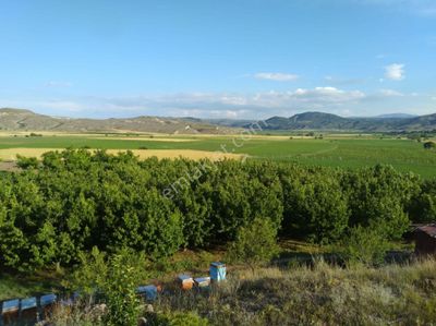 Arsa-Bağ & Bahçe