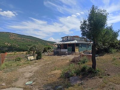 Arsa-Tarla