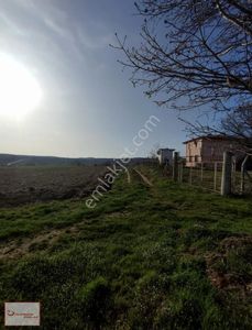 Arsa-Tarla