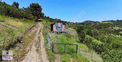 Arsa-Konut İmarlı