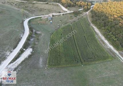 Arsa-Tarla