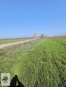 Arsa-Tarla