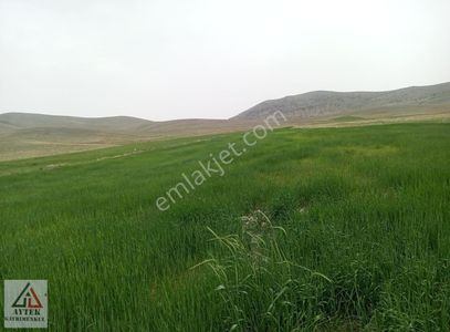 Arsa-Tarla