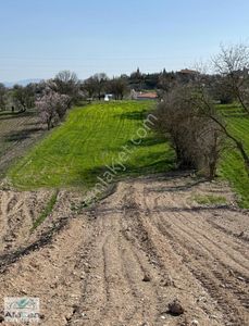 Arsa-Tarla