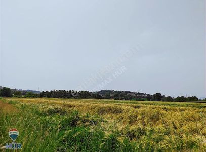Arsa-Tarla