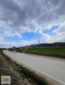 Arsa-Tarla