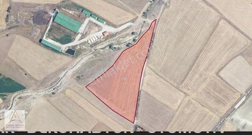 Arsa-Tarla