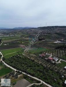 Arsa-Villa İmarlı