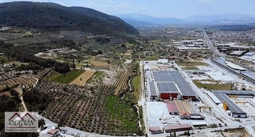 Arsa-Ticari İmarlı