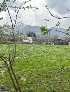 Arsa-Tarla