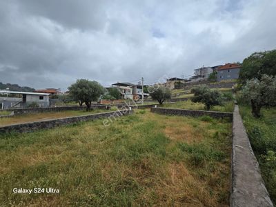 Arsa-Konut İmarlı
