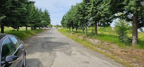 Arsa-Tarla