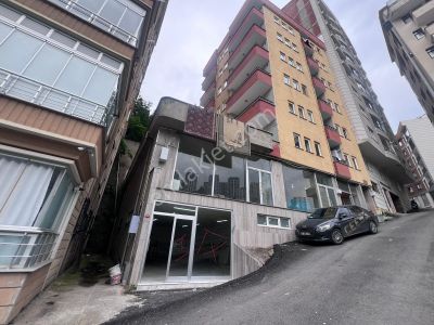 İşyeri-Dükkan & Mağaza